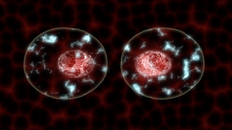 Pulsions Temporelles